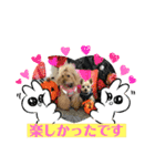 ミモザファミリー日常2（個別スタンプ：4）
