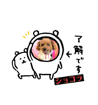 ミモザファミリー日常2（個別スタンプ：5）