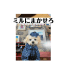 ミモザファミリー日常2（個別スタンプ：11）
