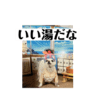 ミモザファミリー日常2（個別スタンプ：12）