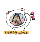 ミモザファミリー日常2（個別スタンプ：16）