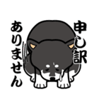 黒柴まゆげ君2（個別スタンプ：19）