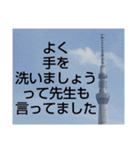 空色くまちゃんのスカイツリースタンプ（個別スタンプ：11）