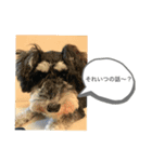 つくちゃんいいこ（個別スタンプ：6）
