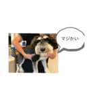 つくちゃんいいこ（個別スタンプ：7）