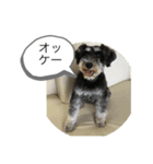 つくちゃんいいこ（個別スタンプ：10）