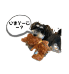 つくちゃんいいこ（個別スタンプ：16）