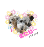 愛犬ちゃんラブ②（個別スタンプ：3）