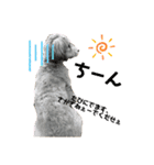 愛犬ちゃんラブ②（個別スタンプ：8）