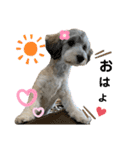 愛犬ちゃんラブ②（個別スタンプ：14）