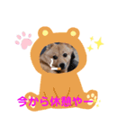 日常会話 ポメ柴（個別スタンプ：2）