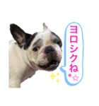 フレンチブルドッグ♡どん（個別スタンプ：9）