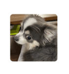 ふっくら犬？（個別スタンプ：6）
