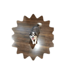 ふっくら犬？（個別スタンプ：8）