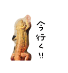 フトアゴヒゲトカゲのサボテン.（個別スタンプ：5）