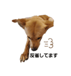 さくよさんの戯言2（個別スタンプ：3）
