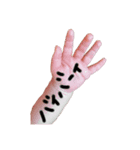 ki-stamp（個別スタンプ：3）