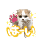 おちゃめna猫の日常（個別スタンプ：3）