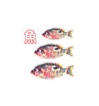 多分、魚。（個別スタンプ：5）