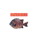 多分、魚。（個別スタンプ：8）