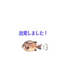 多分、魚。（個別スタンプ：22）