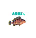 多分、魚。（個別スタンプ：31）