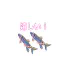 多分、魚。（個別スタンプ：32）