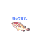 多分、魚。（個別スタンプ：34）