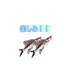 多分、魚。（個別スタンプ：36）