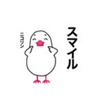 文鳥のマリ 日日是好日③（個別スタンプ：3）