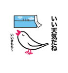 文鳥のマリ 日日是好日③（個別スタンプ：4）