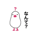 文鳥のマリ 日日是好日③（個別スタンプ：7）