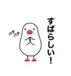 文鳥のマリ 日日是好日③（個別スタンプ：8）