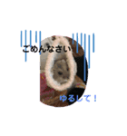 もちゅの日常（個別スタンプ：6）