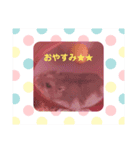 もちゅの日常（個別スタンプ：8）
