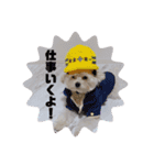 ぽんずの日常☀️（個別スタンプ：5）