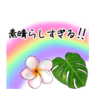 ❤️南国ハワイのプルメリアお祝い＆挨拶❤️（個別スタンプ：30）