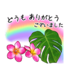 ❤️南国ハワイのプルメリアお祝い＆挨拶❤️（個別スタンプ：33）