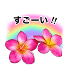❤️南国ハワイのプルメリアお祝い＆挨拶❤️（個別スタンプ：38）