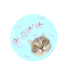 ミヌエットのこんにゃくくん。（個別スタンプ：12）