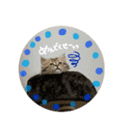 バロンスタンプ☆！part2（個別スタンプ：4）