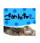 バロンスタンプ☆！part2（個別スタンプ：7）