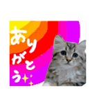 バロンスタンプ☆！part2（個別スタンプ：8）