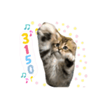 バロンスタンプ☆！part2（個別スタンプ：14）