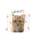バロンスタンプ☆！part2（個別スタンプ：16）