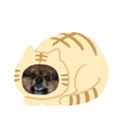 チョコの可愛さ（個別スタンプ：2）