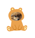 チョコの可愛さ（個別スタンプ：6）