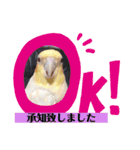 よこ'sペットたちのスタンプ（個別スタンプ：10）