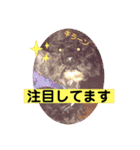 よこ'sペットたちのスタンプ（個別スタンプ：13）