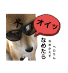 じゅじゅときんた②（個別スタンプ：8）